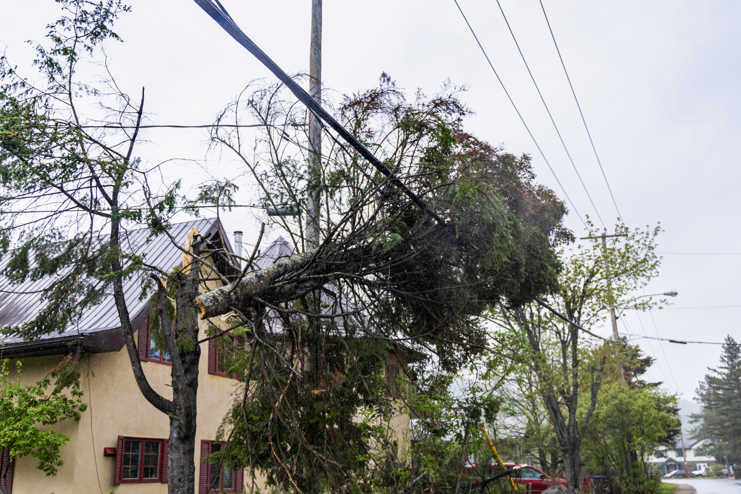 A large tree has fallen onto power lines above a house during a storm, causing damage and creating a hazardous situation on a rainy day. Immediate storm damage repair by an experienced exterior contractor is essential to ensure safety and restore the property.