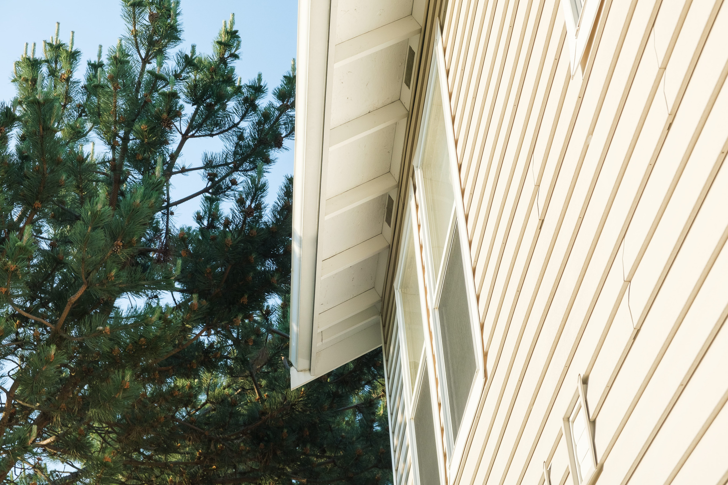 A close-up view of a beige house exterior with vertical siding and a sloped roof, expertly maintained by a skilled siding contractor, next to a green pine tree under a clear blue sky.
